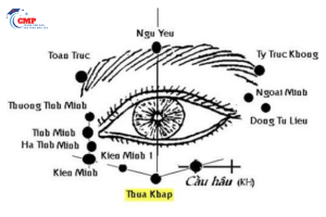 Quy trình xoa bóp bấm huyệt theo Bộ Y Tế